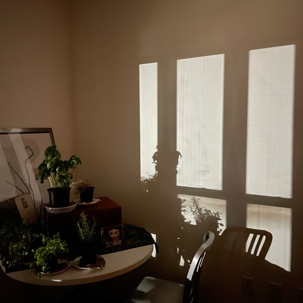 Meet your Posher, Lemon